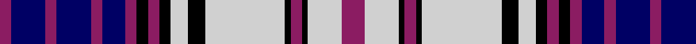 Royal Canadian Air Force example sett