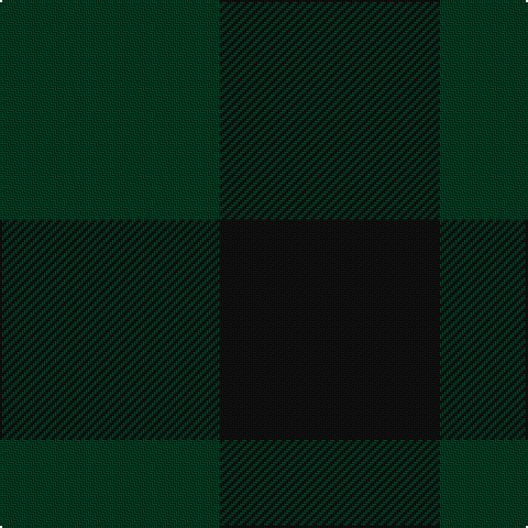 DG/100 K/100 tartan Tartan detail