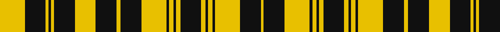 Garwhal Rifles (Military) example sett