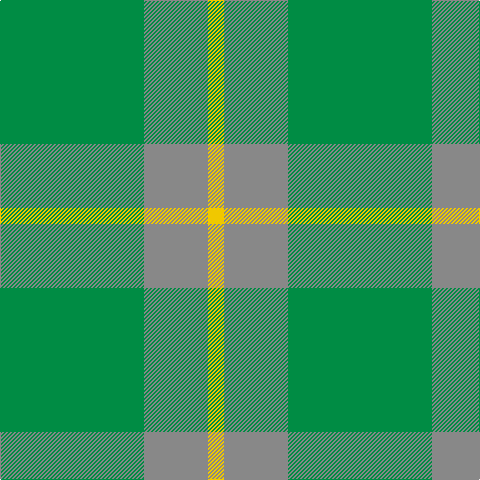 G/144 N64 Y/16 tartan Tartan detail