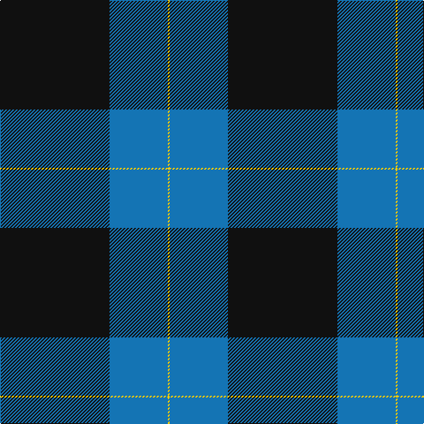 K/124 B66 Y/2 tartan Tartan detail