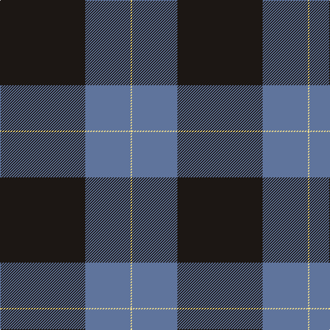 K/124 B66 LY/2 tartan Tartan detail