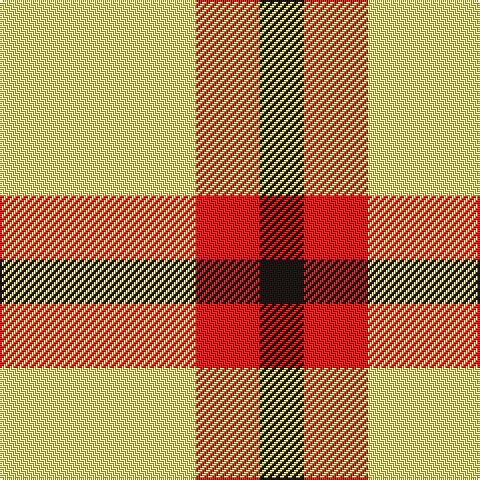LY/98 R32 K/22 tartan Tartan detail