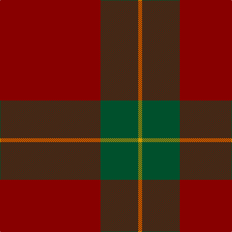 DR/208 G78 DY/8 tartan Tartan detail