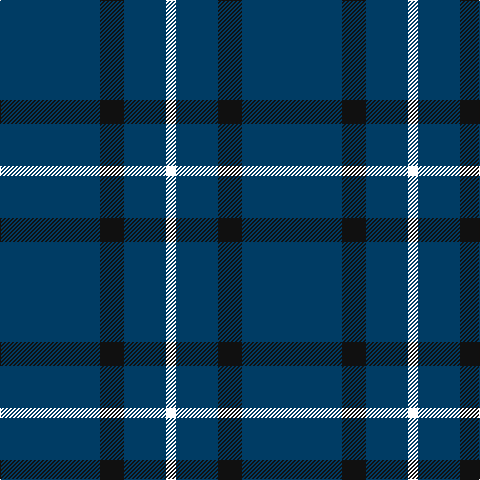 DB/100 K24 DB42 W/10 tartan Tartan detail