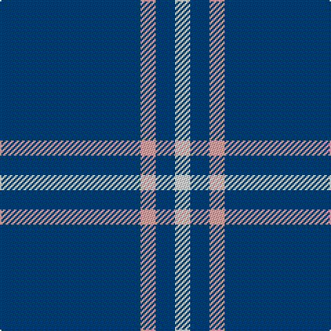DB/102 LR11 DB14 LN/11 tartan Tartan detail