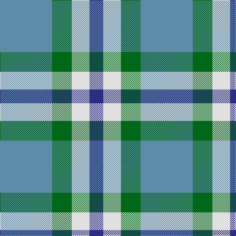 B/106 G40 LN36 DB/28 tartan Tartan detail