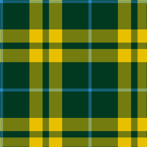 B/10 DG86 Y43 DG/21 tartan Tartan detail