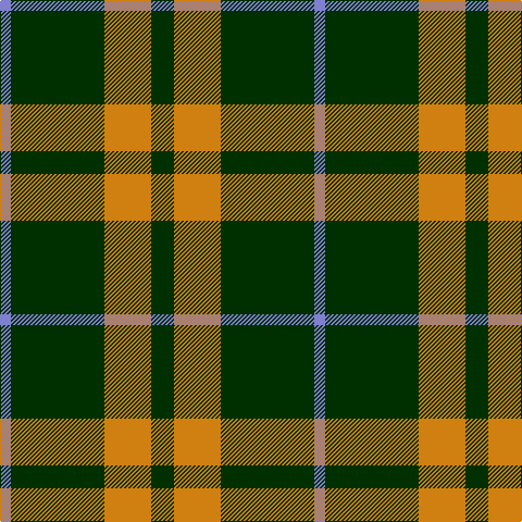 B/10 DG86 O43 DG/21 tartan Tartan detail
