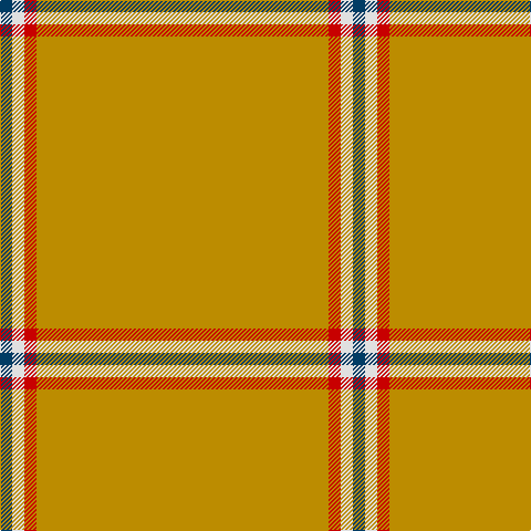 DB/11 LN11 R11 DY/264 tartan Tartan detail
