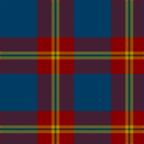 DB/124 DR48 DY10 DG/6 tartan Tartan detail