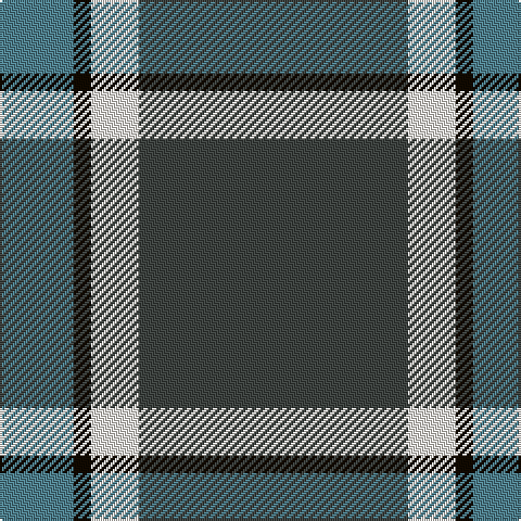 B/34 K8 W22 N/124 tartan Tartan detail