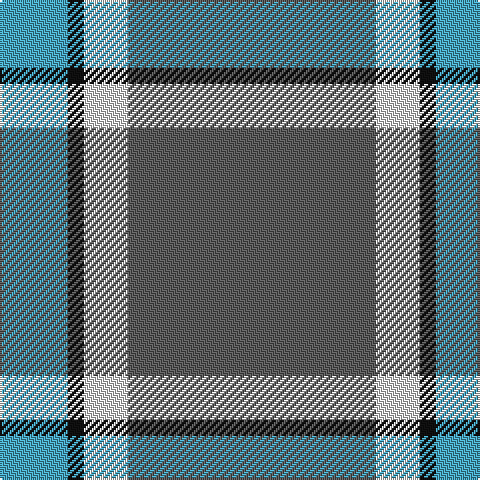 B/34 K8 LN22 N/124 tartan Tartan detail