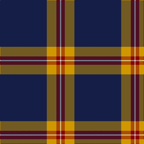DB/156 DY32 DR12 LN/4 tartan Tartan detail