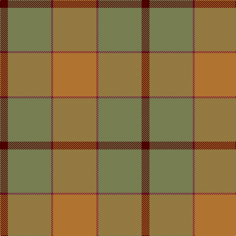 DR/16 G88 DRa4 LT/88 tartan Tartan detail