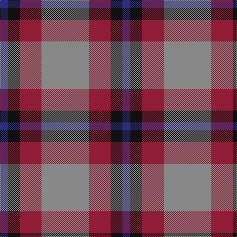 DB/16 K24 DR44 N/96 tartan Tartan detail