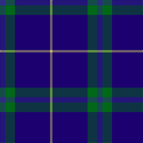 DB/18 G32 DBa118 LG/8 tartan Tartan detail