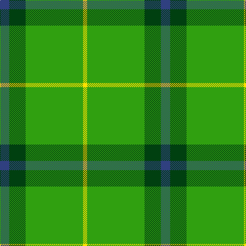 B/18 DG32 G112 Y/8 tartan Tartan detail