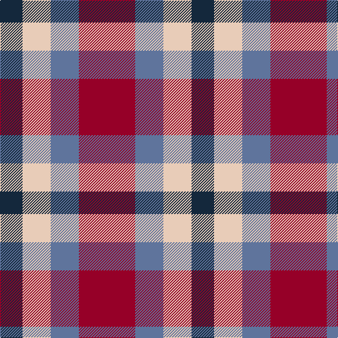 DN/32 LR40 B40 DR/80 tartan Tartan detail