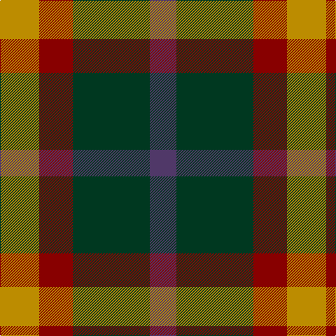 DY/56 DR48 DG110 N/38 tartan Tartan detail