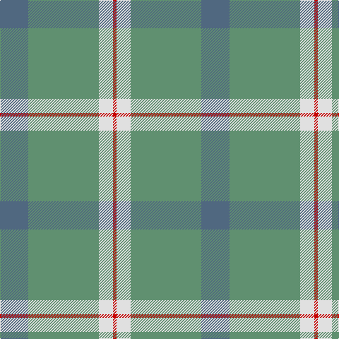 B/40 LG100 LN20 R/5 tartan Tartan detail