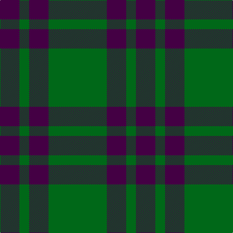 DP/40 G20 DP40 G/120 tartan Tartan detail