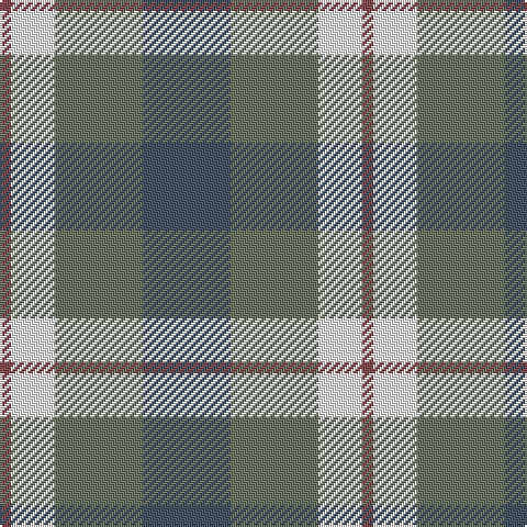 LT/5 W20 Na40 N/40 tartan Tartan detail