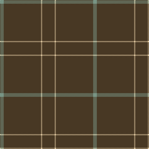 LG/12 T120 LR4 T/40 tartan Tartan detail