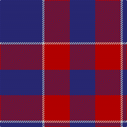 DB/80 LN4 R48 DB/48 tartan Tartan detail