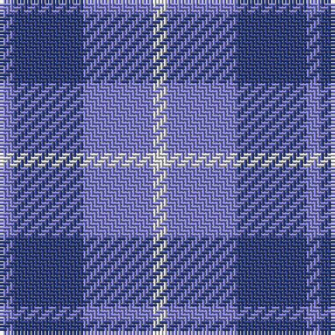 B/4 Ba20 B20 LN/4 tartan Tartan detail