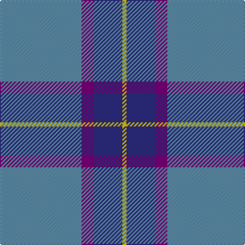 B/80 P12 DB28 Y/4 tartan Tartan detail