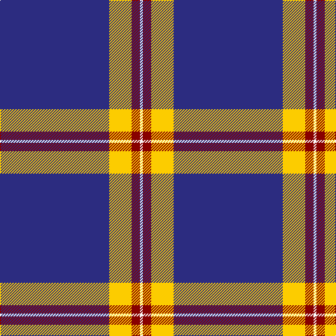 DB/156 Y32 DR12 W/4 tartan Tartan detail