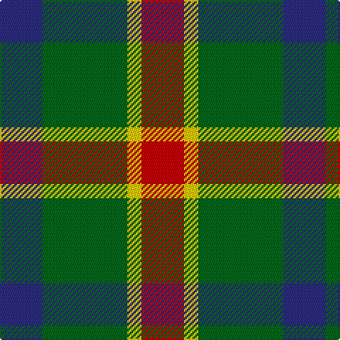 DB/30 G60 Y10 R/30 tartan Tartan detail
