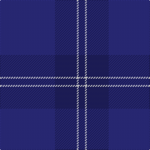 DB/88 DBa35 LN3 DBa/10 tartan Tartan detail