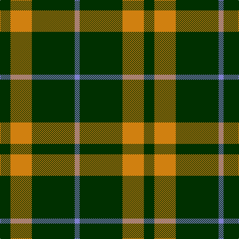 B/10 DG86 O43 DG/21 tartan Tartan detail