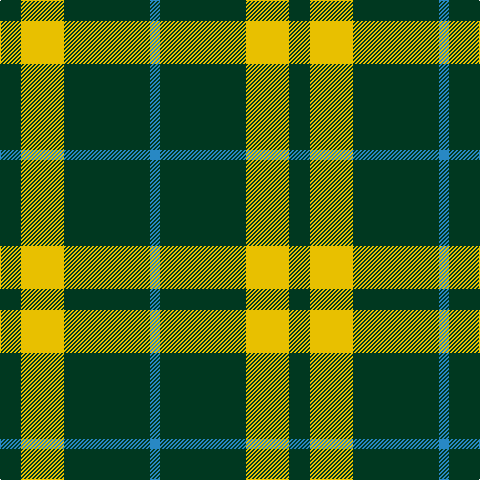 DG/21 Y43 DG86 B/10 tartan Tartan detail