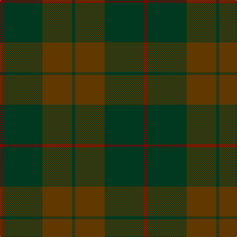 DG/6 T60 DG80 DR/6 tartan Tartan detail