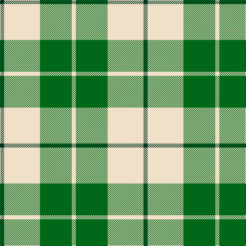 DG/8 W70 G62 W/8 tartan Tartan detail