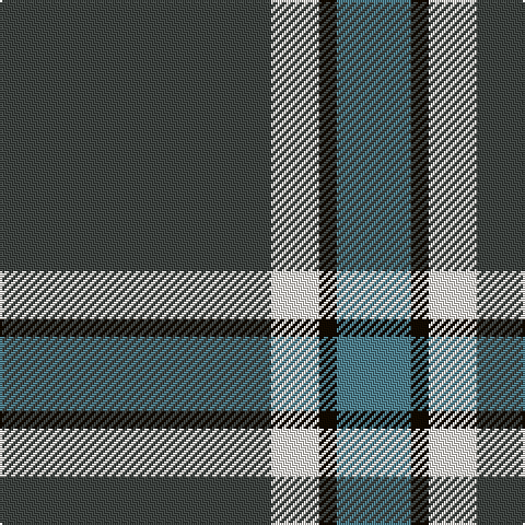 N/124 W22 K8 B/34 tartan Tartan detail