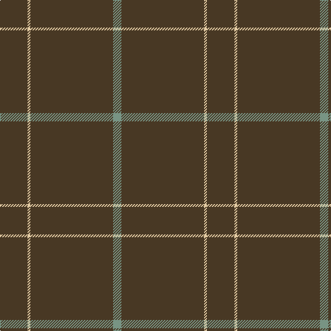 T/40 LR4 T120 LG/12 tartan Tartan detail