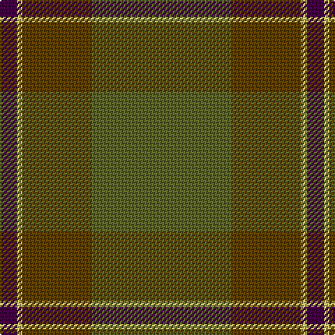 DP/12 LG4 T50 G/100 tartan Tartan detail