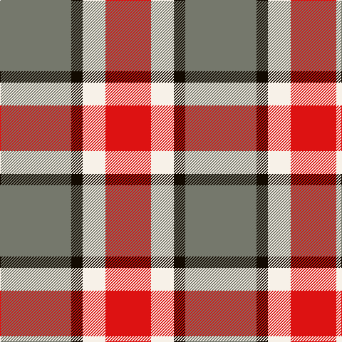 N/100 K16 W32 R/64 tartan Tartan detail
