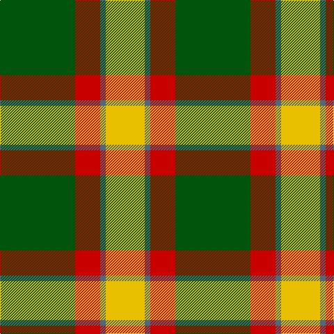 G/108 R36 N8 Y/56 tartan Tartan detail