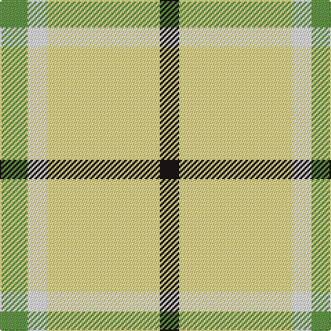 K/14 LY82 W14 LG/20 tartan Tartan detail