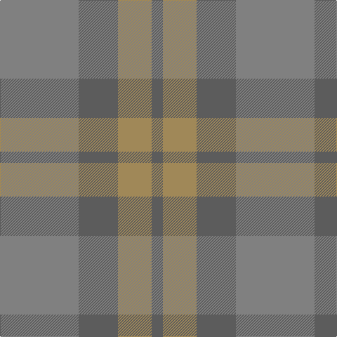 N/112 Na56 LT48 Na/16 tartan Tartan detail