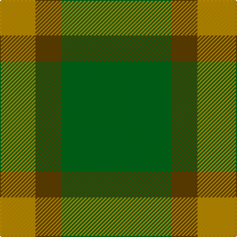 DY/10 DY26 T26 G/112 tartan Tartan detail