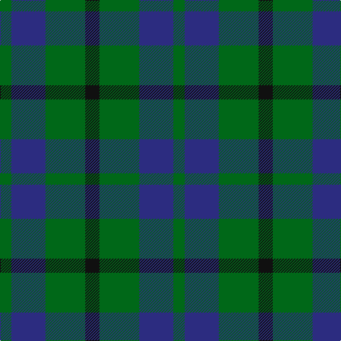 G/16 DB48 G56 K/20 tartan Tartan detail
