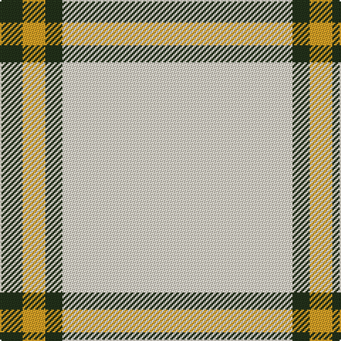 K/16 Y16 K12 W/162 tartan Tartan detail