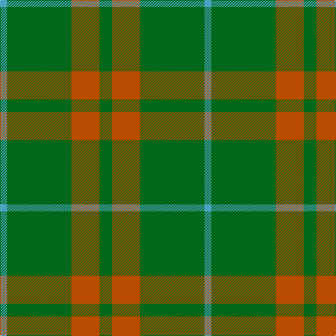 B/10 G92 DO40 G/18 tartan Tartan detail