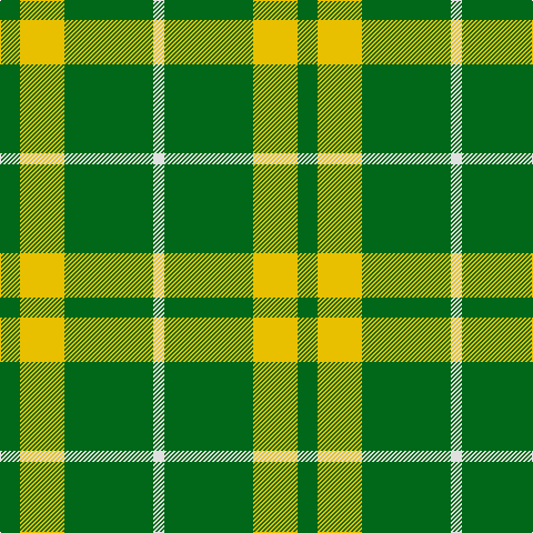 G/18 Y40 G80 LN/10 tartan Tartan detail
